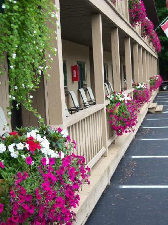 Tall Pines Motel Lake George Exterior photo